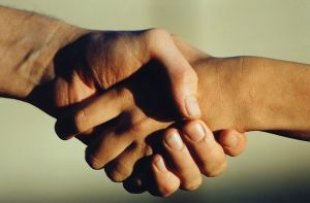 hand_hands_shake_238808_l